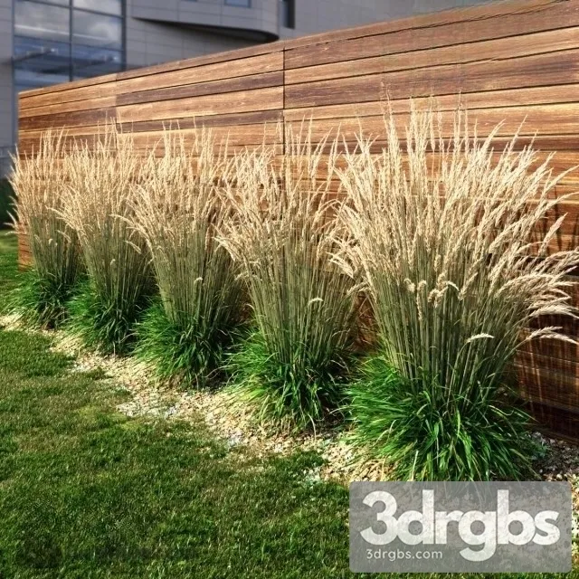 Grass Dry HI 3D Model Free