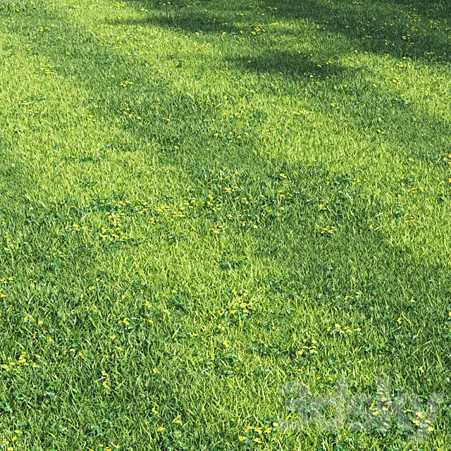 Grass england garden 3D Model