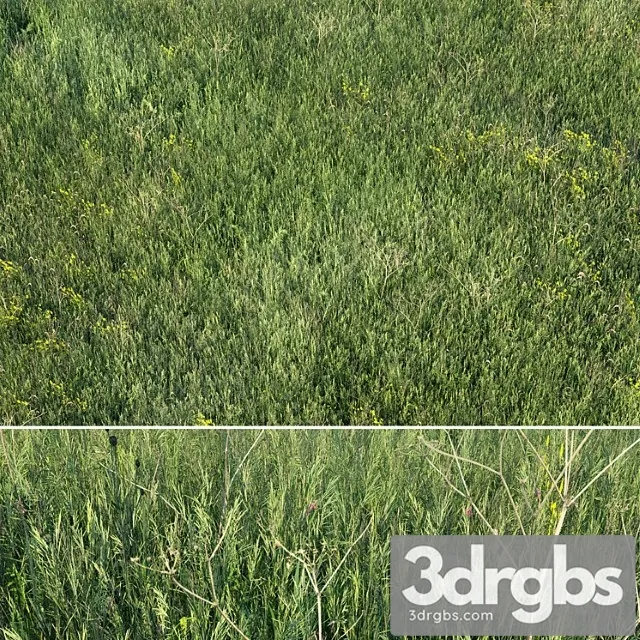 Grass Field 01 3D Model Free