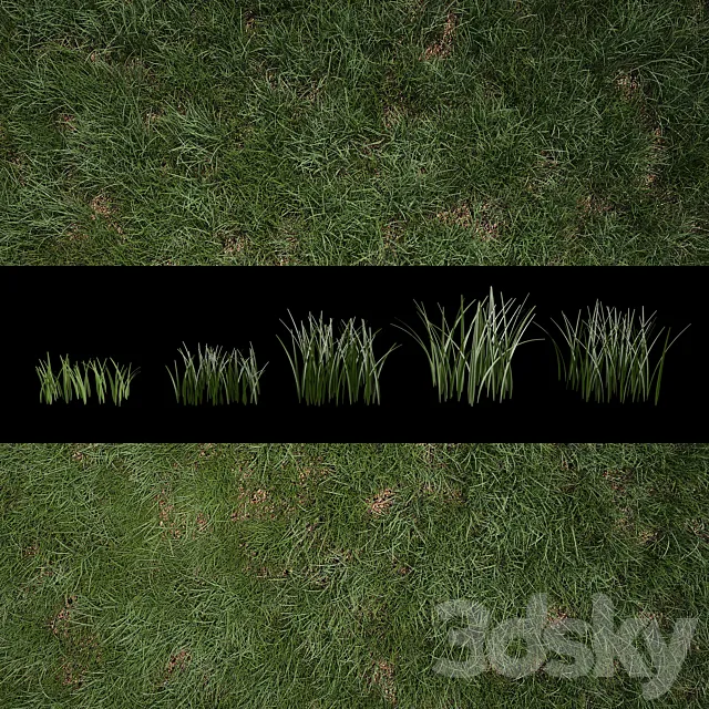 Grass for Exteriors 3D Model