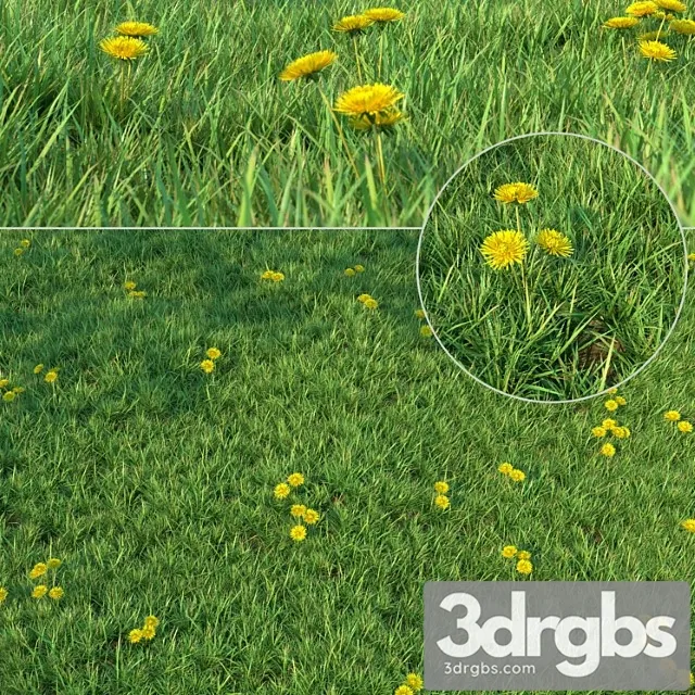 Grass For Landscaping 3D Model Free