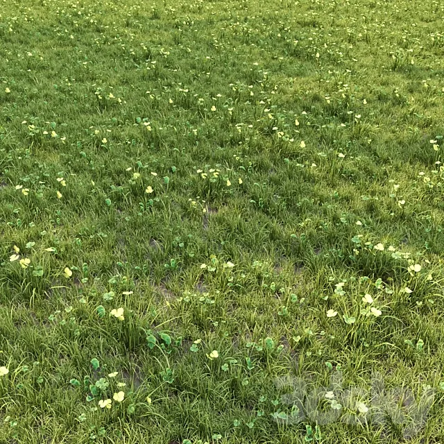 grass for lanscape 06 3D Model