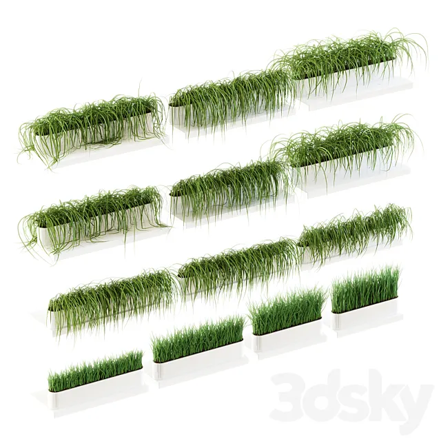 Grass for shelves. 13 models of v2 3D Model