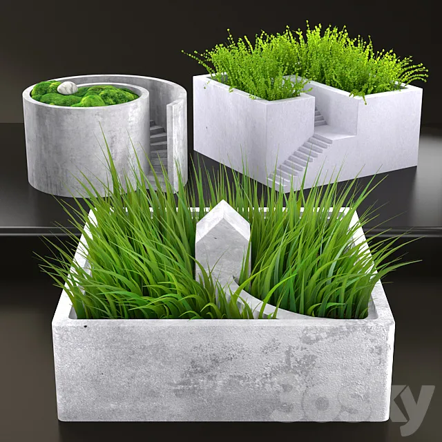 Grass in pots 3D Model