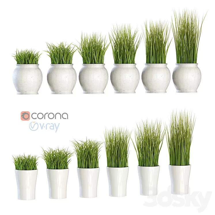 Grass in pots 3D Model
