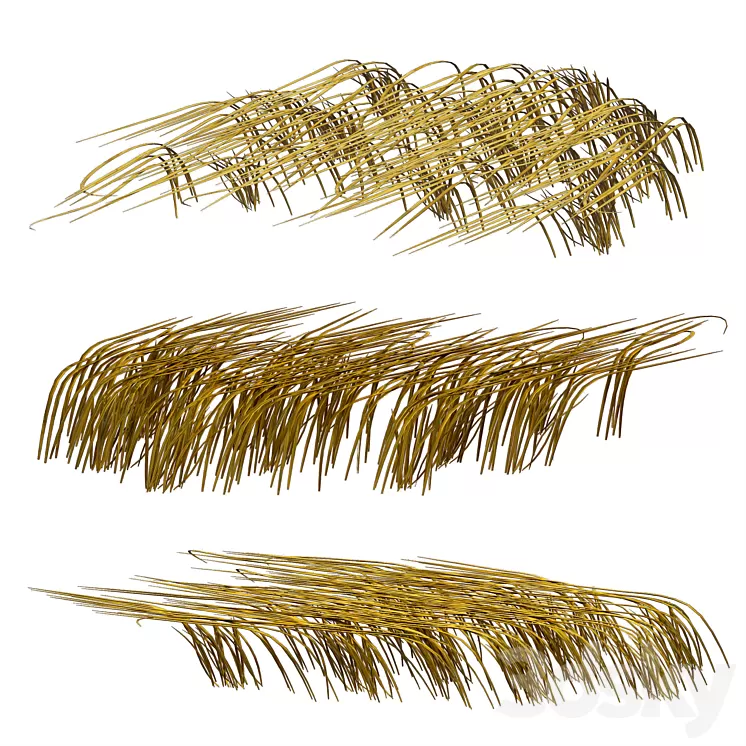 Grass in the water. Water chirp. Water grass. 3D Model