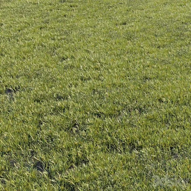 Grass kit 1 3D Model