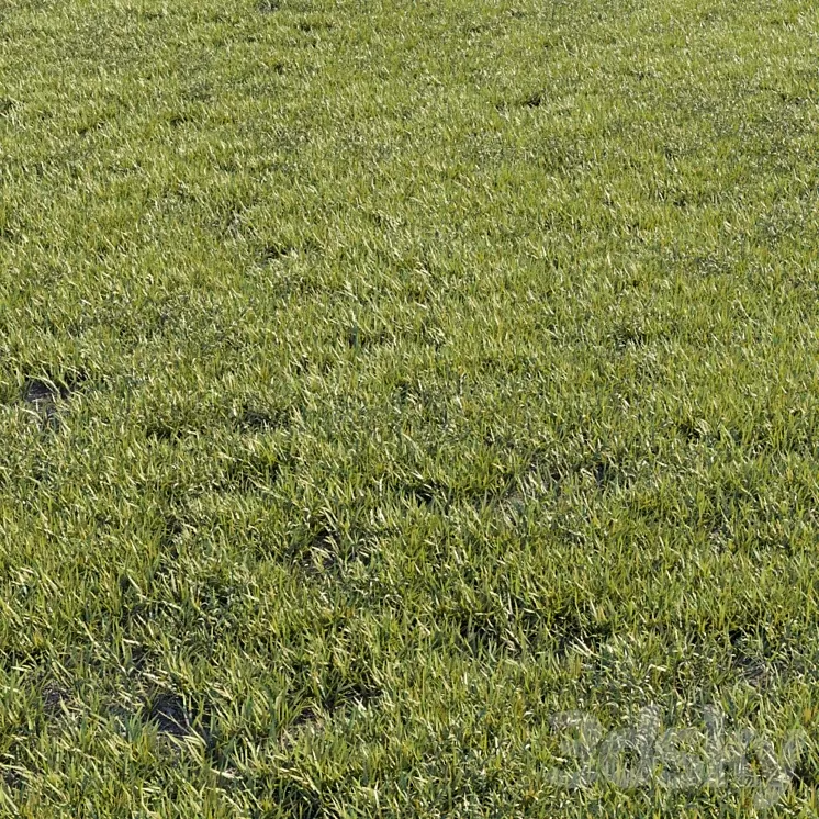 Grass kit 1 3D Model