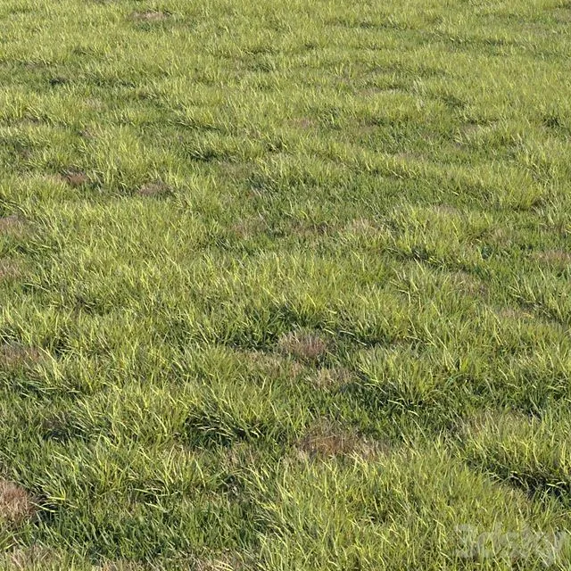 Grass kit 2 3D Model