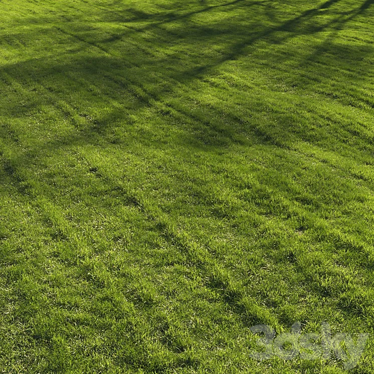 Grass lawn 3D Model Free