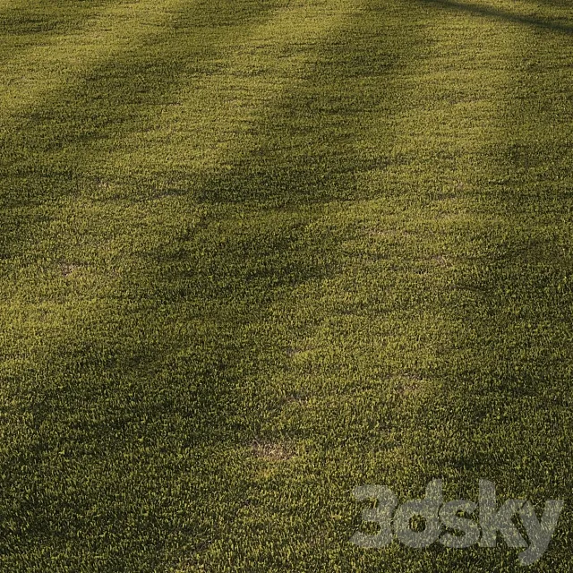 Grass | mowed lawn 3D Model