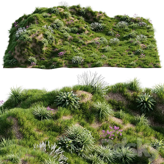 Grass on the slope 3D Model
