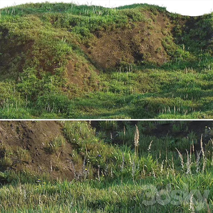 Grass on the slope 3D Model Free Download