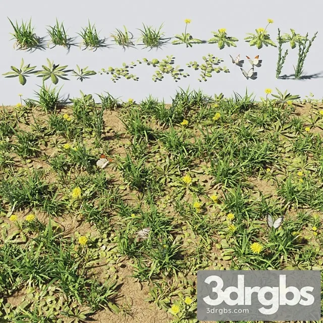 Grass Plants 2 3D Model Free
