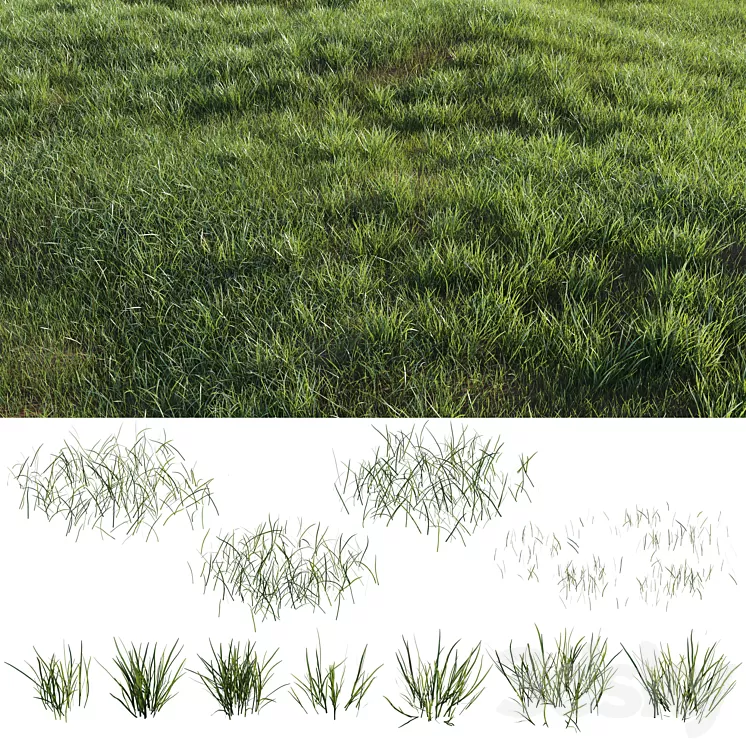 Grass-plot 3D Model