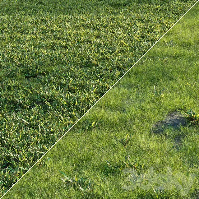 Grass Set 01 3DModel