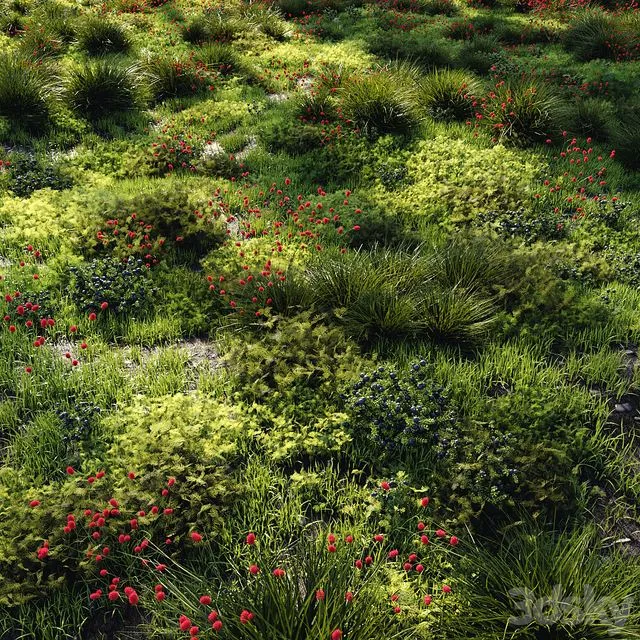 Grass set 1 3D Model