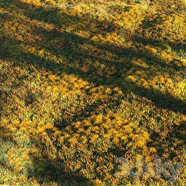 Grass set 2 3D Model