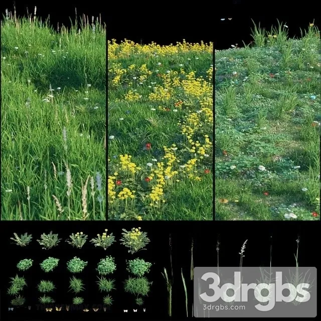 Grass Set 3D Model Free