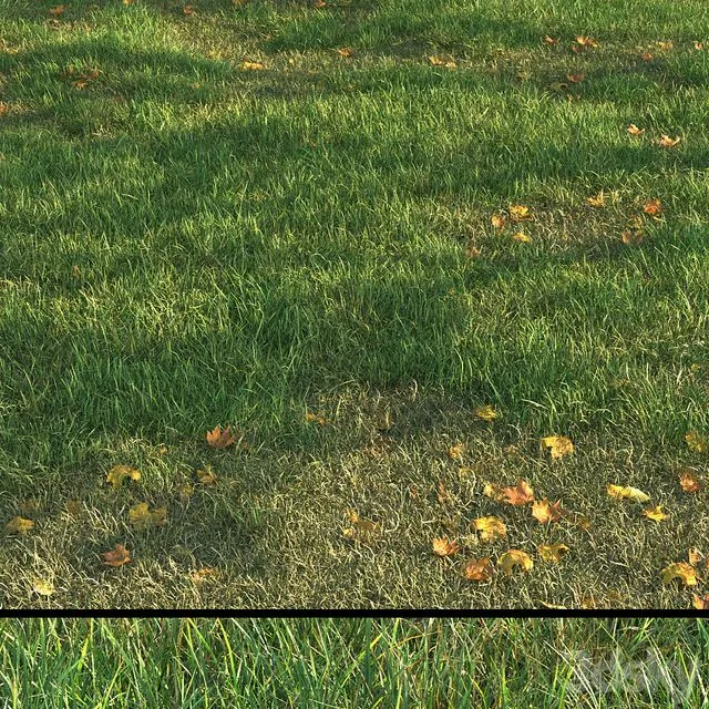 grass011 3D Model
