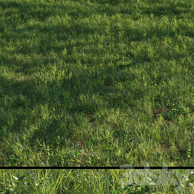grass13 3D Model