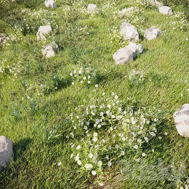 grass_for_landscaping_set02 3DModel