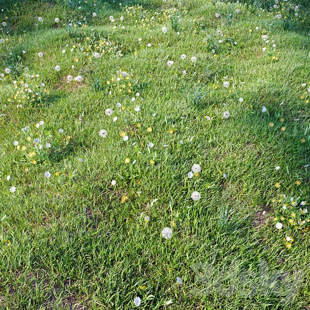 grass_for_landscaping_set03 3D Model