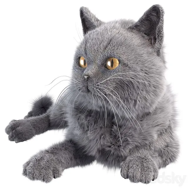 Gray Cat 3D Model