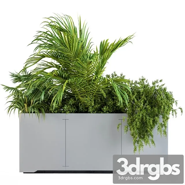 Gray Plants Box With Tropical Plant 3D Model Free
