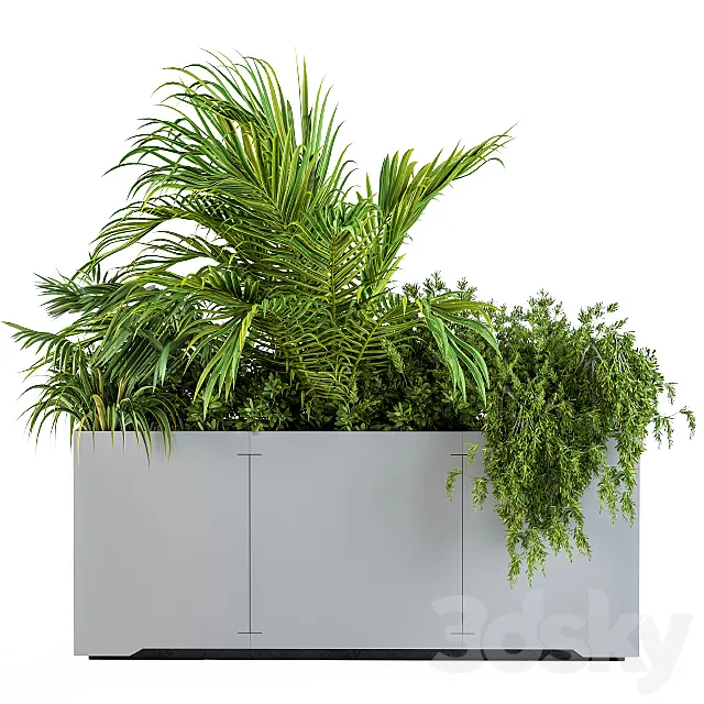 Gray Plants Box with Tropical plant 3D Model