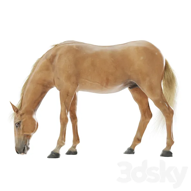 Grazing horse 3D Model