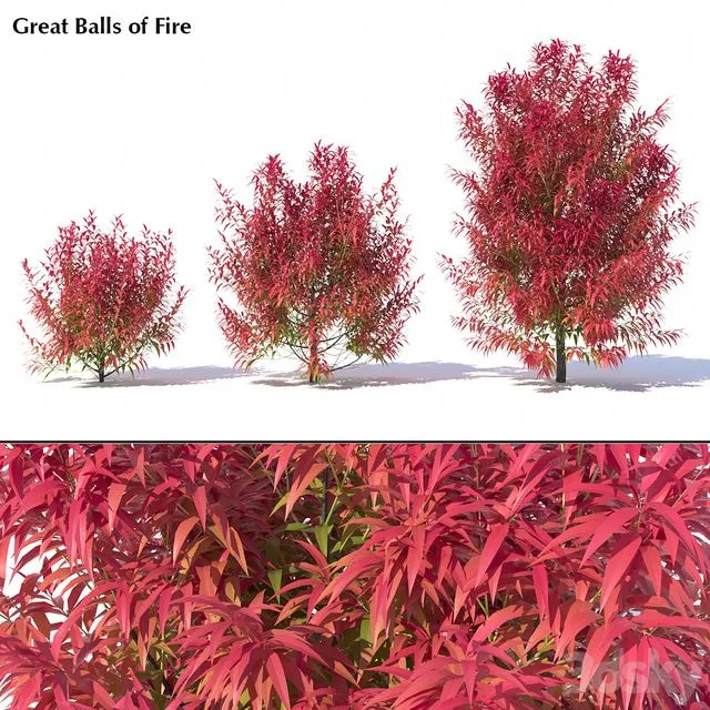 Great Balls of Fire 3D Model