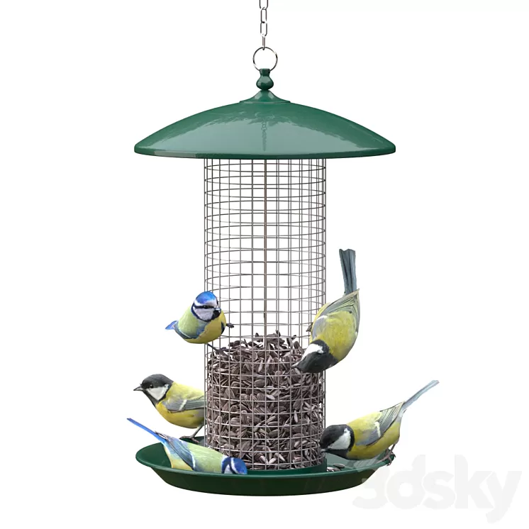 Great Tits and Blue Tits at bird feeder 3D Model