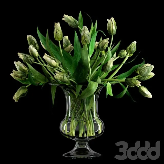 Green Parrot Tulips 3D Model