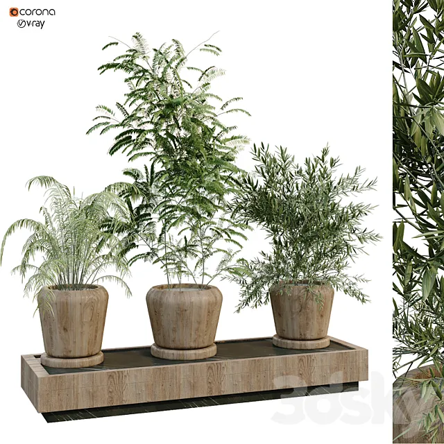 green plant box 269 3DModel