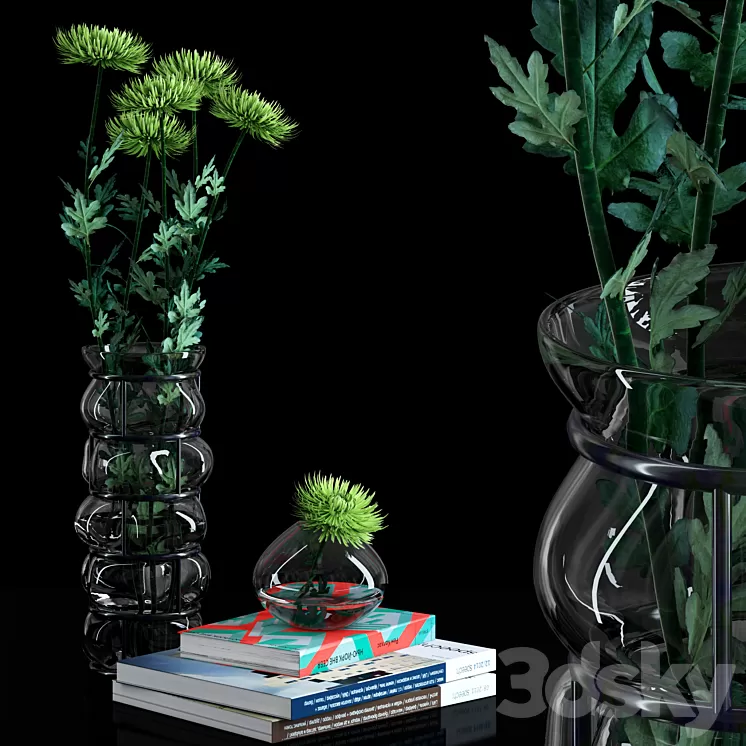 Green Spider Mom Asters Set 3D Model