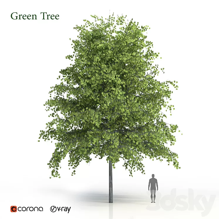 Green tree 3D Model