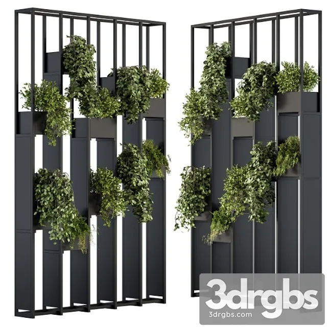 Green wall - plants partition 02
