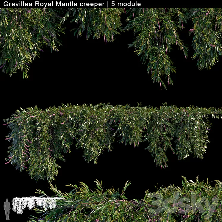 Grevillea Royal Mantle creeper | 5 module 3D Model