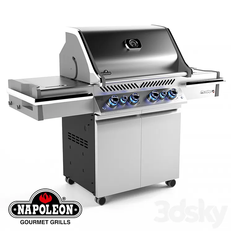 Grill Napoleon PRO 500 3D Model
