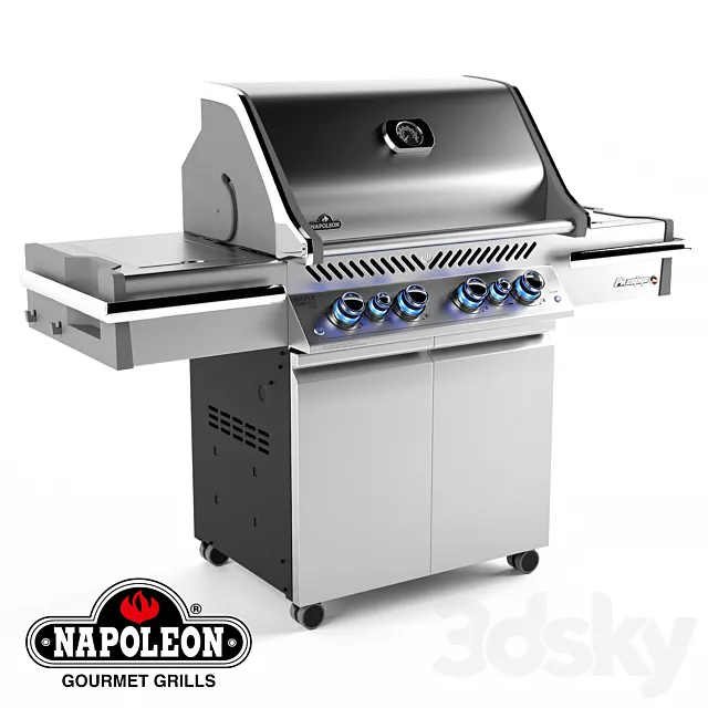 Grill Napoleon PRO 500 3DModel