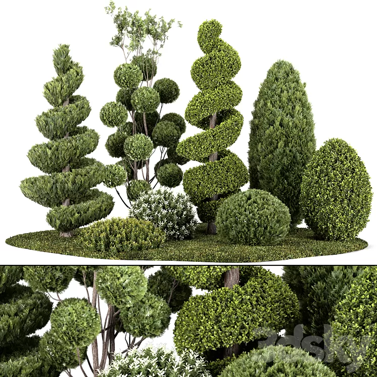 Group outdoor plants & Hedges 3D Model Free