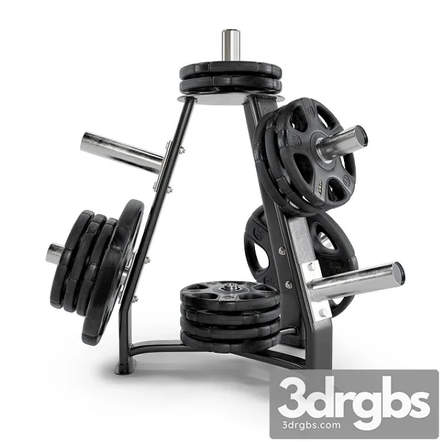 Gym Rack Disc Vid 01 3D Model Free