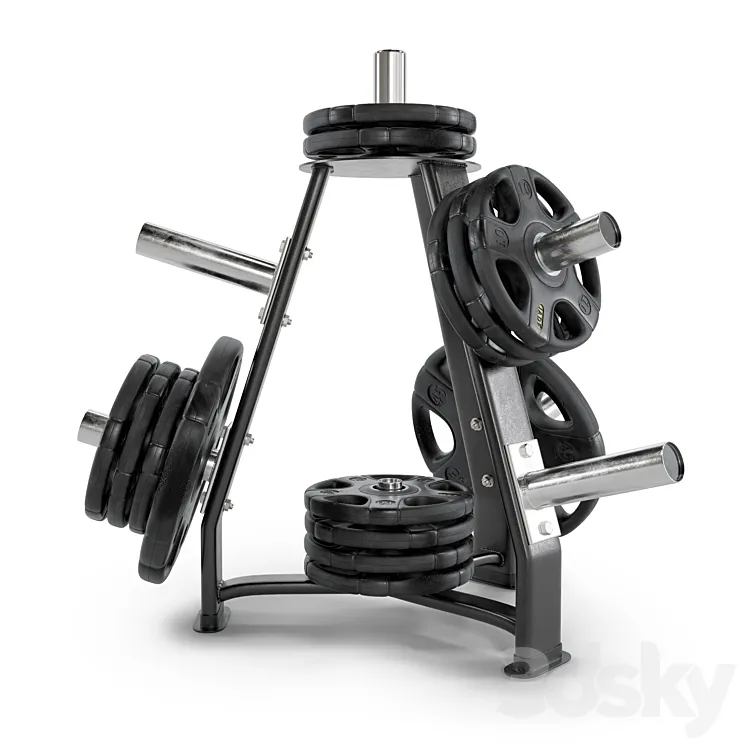 Gym_Rack_Disc_Vid_01 3D Model Free