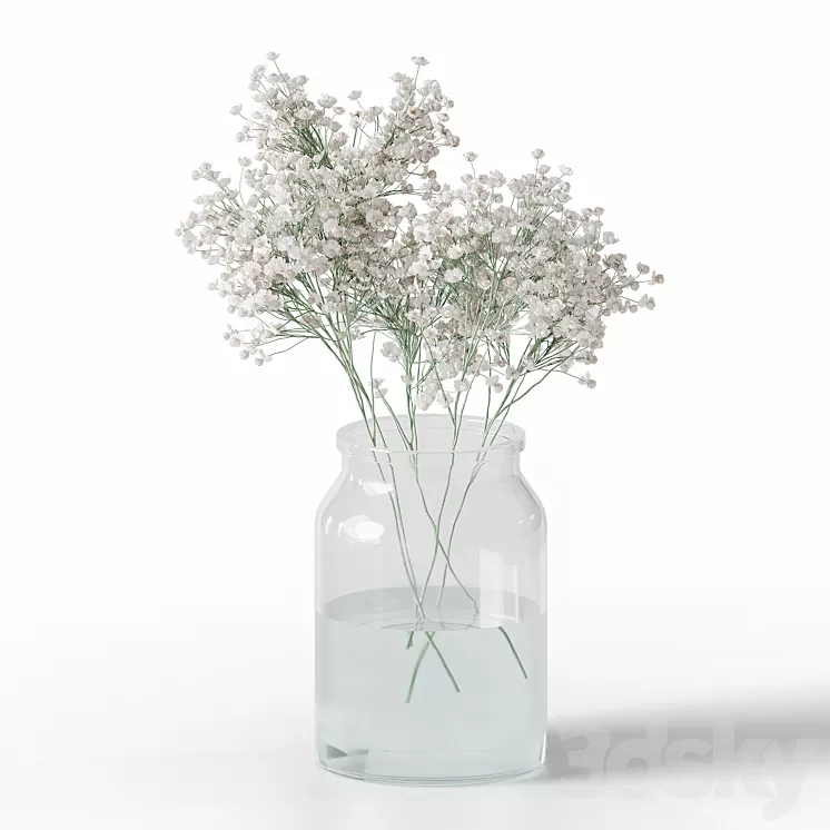 Gypsophila bouquet 3D Model