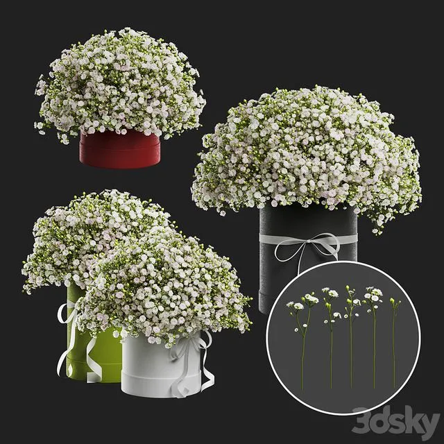 Gypsophila bouquet in a hat box 3D Model