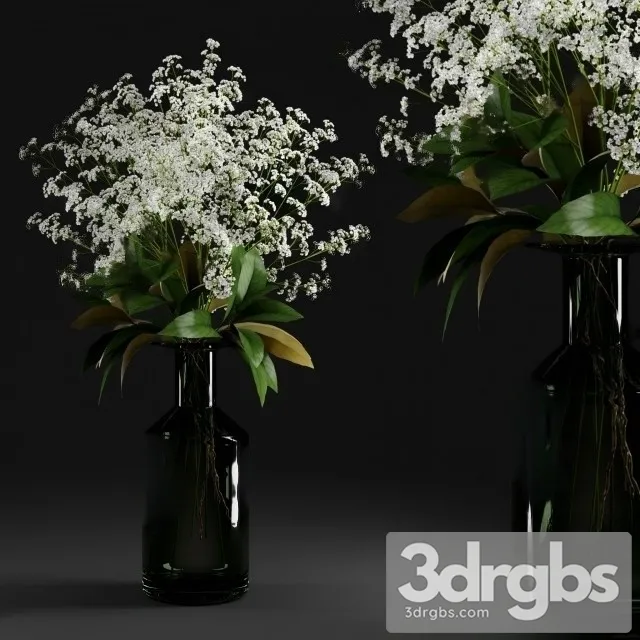 Gypsophila Magnolia Leaves Bottle 3D Model Free
