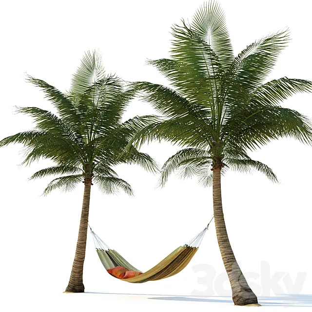 Hammock on palm trees 3D Model