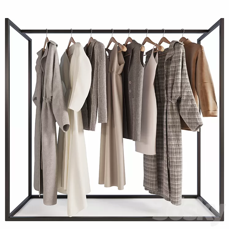 Hanger with womens clothing