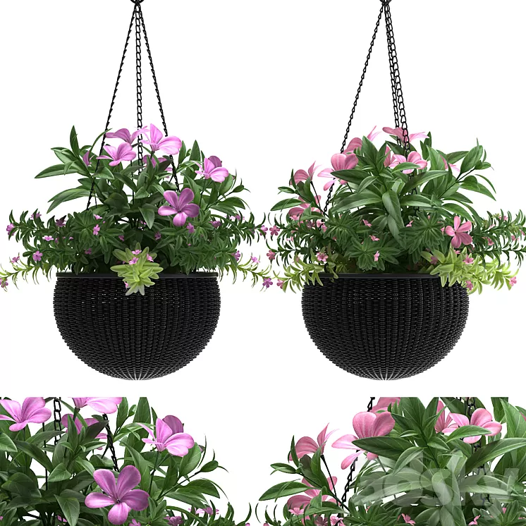 HANGING BASKET 3D Model